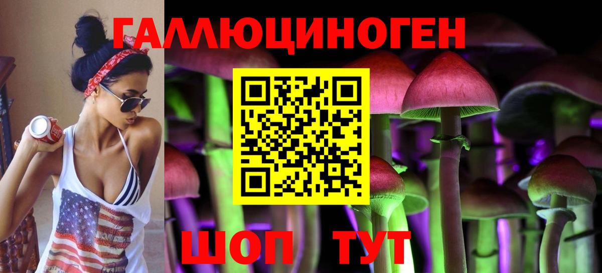 Галлюциногенные грибы Magic Shrooms  Вход с VPN  Галлюциногенные грибы Magic Shrooms  Курган 